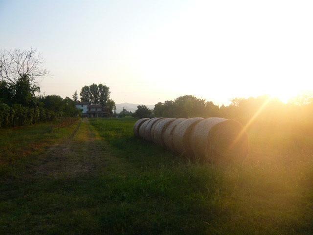 סקנדיאנו Agriturismo Bosco Del Fracasso מראה חיצוני תמונה